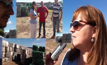 Taco Pozo ya comercializa los residuos y materiales recuperados