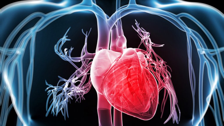 Qué son los ataques silenciosos: los enemigos del corazón sano