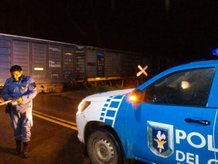 Un hombre se arrojó debajo de un tren y murió en el acto