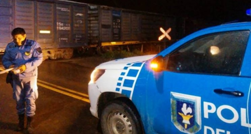 Un hombre se arrojó debajo de un tren y murió en el acto