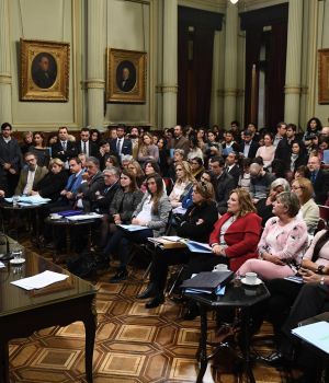 Aborto: comisiones del Senado definieron la agenda