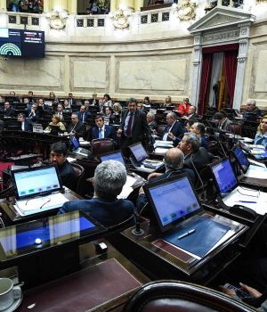 Aborto: así votó cada uno de los senadores