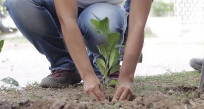 Ministerio de Educación, Cultura, Ciencia y Tecnología MES DE LAS JUVENTUDES: EDUCACIÓN INVITA A UN CONVERSATORIO SOBRE CONCIENCIA AMBIENTAL