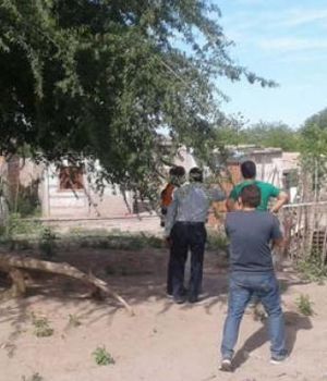 Familia cosió a puñaladas a vecino por una jaula con pájaros