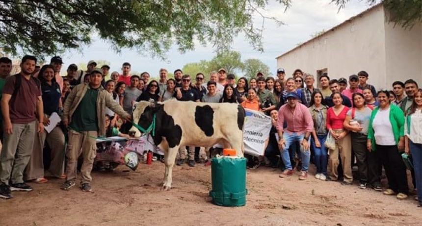 Un hito histórico en Chaco: logran semen de toro Holando Argentino en Taco Pozo